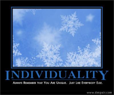 individuality (55 kb)