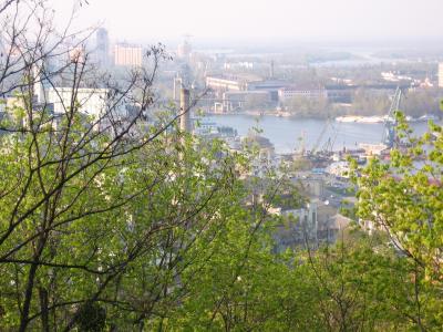 IMG_0231.JPG (1657 kb)